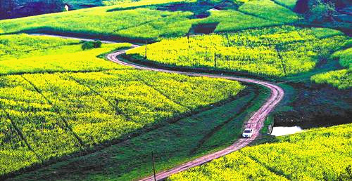 江津休闲农业与乡村旅游季启动