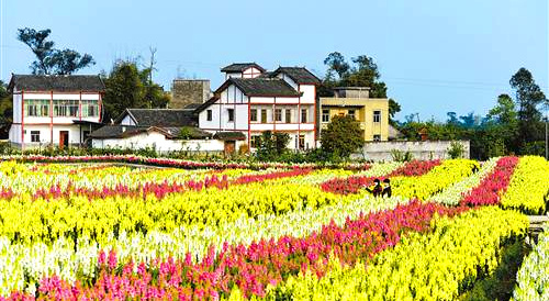 永川：乡村旅游提档升级