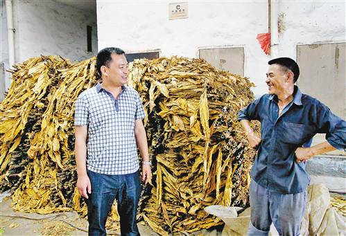 发展特色种植业 为贫困户“造血”