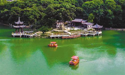 沙坪公园盆景园国庆投用