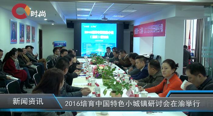 培育中国特色小镇研讨会在重庆渝中区举行