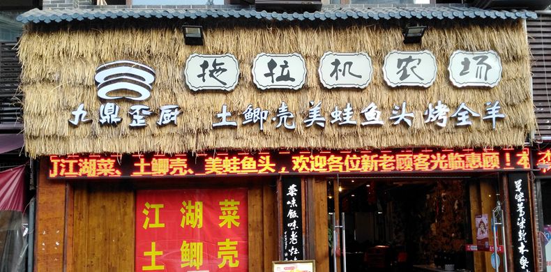 拖拉机开进南坪拉了一车土鲫鱼等你来品尝--九鼎歪厨·拖拉机农场