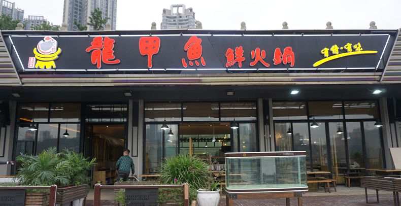 龍甲鱼鲜火锅--重庆第一家甲鱼养生火锅 掀起火锅新风向