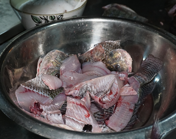 罗氏罗非鱼--渝味特色菜品经典 三十几年沉淀出的美味
