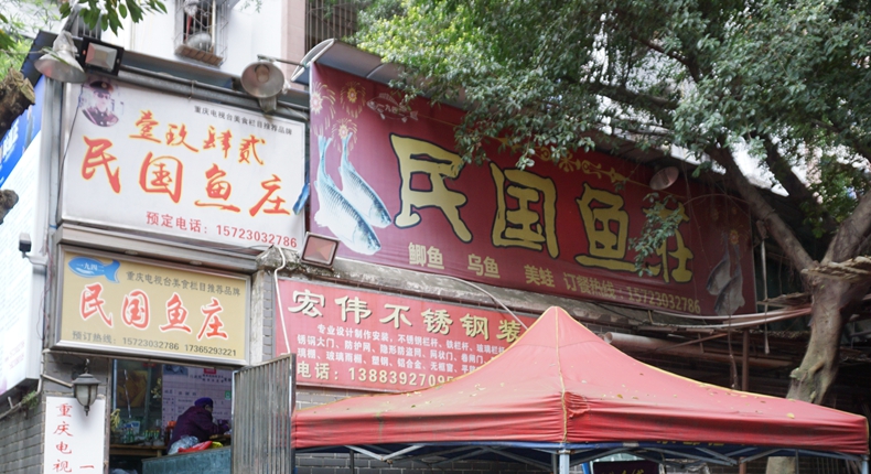 1942民国鱼庄--老重庆最亲切的泡椒味道 还是那么爽口回味