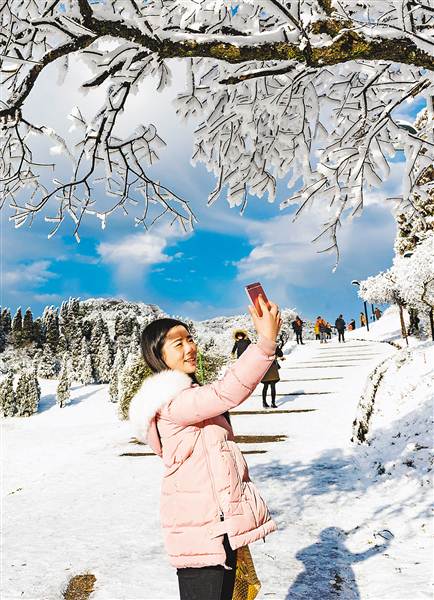 赏春雪