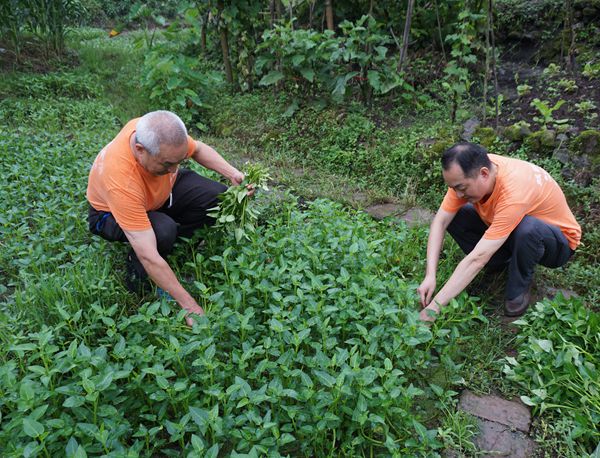 用心做好每个菜品 回馈新老客对麒麟美食的喜爱 桑拿腰花綦江一绝