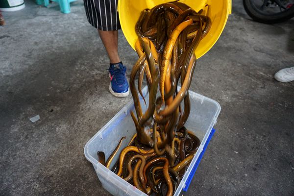 岁月印痕中 老重庆的味道依然那么的浓郁 梨树湾老字号红炒坊餐厅