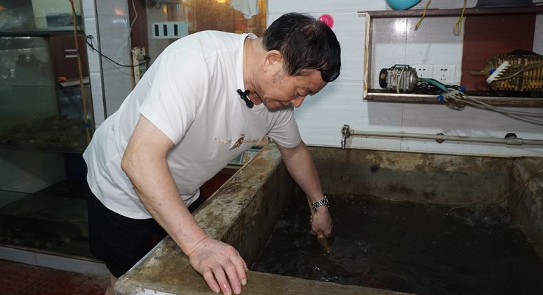 老店情怀 罗氏罗非鱼 是重庆美食经典 更是一份信任