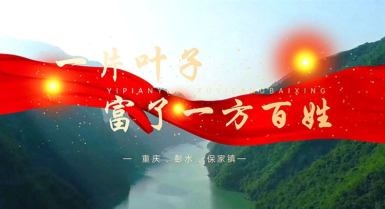 筑梦巴渝 重庆乡村振兴品牌成长计划公益系列宣传——彭水篇（四）