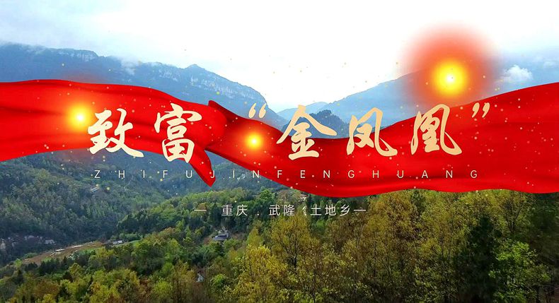 筑梦巴渝 重庆乡村振兴品牌成长计划公益系列宣传——武隆篇（四）