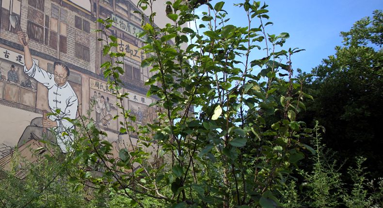 江海常委赴石龙调研统战工作