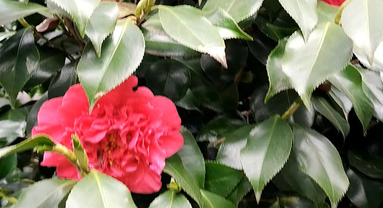 阳春三月 春暖花开 最美时节的大自然
