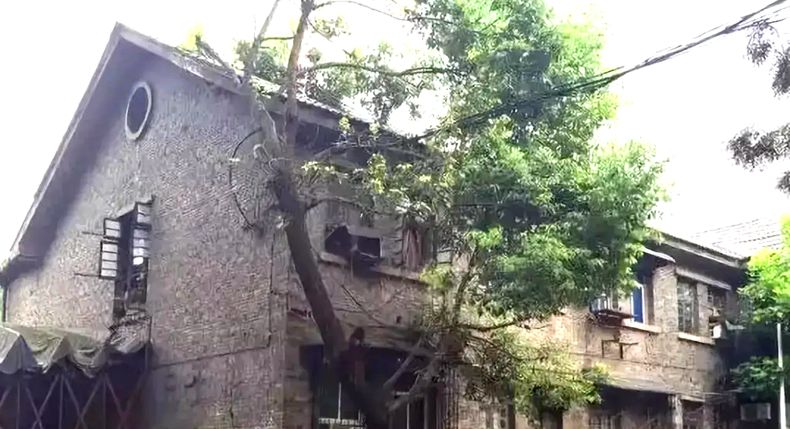 国庆长假 情义浓浓 耙灯牛肉 老厂区的情感美食