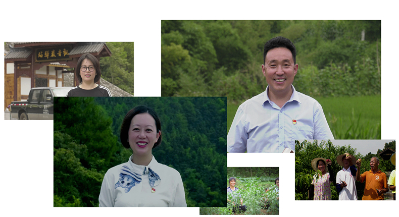 推动乡村振兴 建设美丽乡村