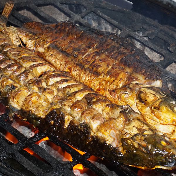 博众地美食之长 独创特别口味烤鱼--巴国烤鱼