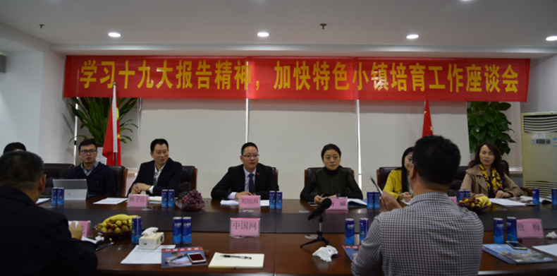 培育中国特色小镇工作委员会西南执委会“学习十九大报告，建设特色小镇”座谈会