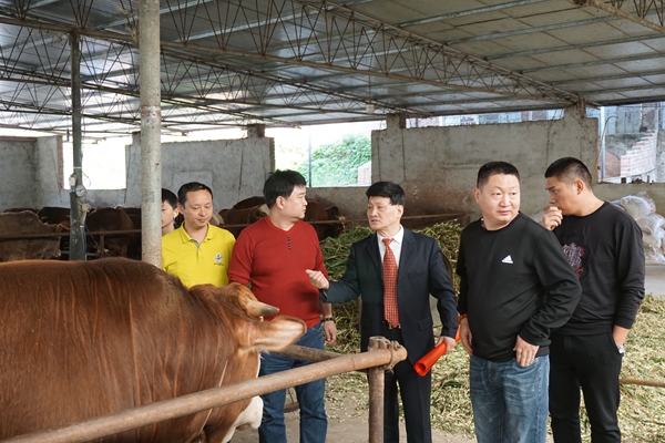 中国烹饪大师刘俊伦 廖建领队考察食材原料基地