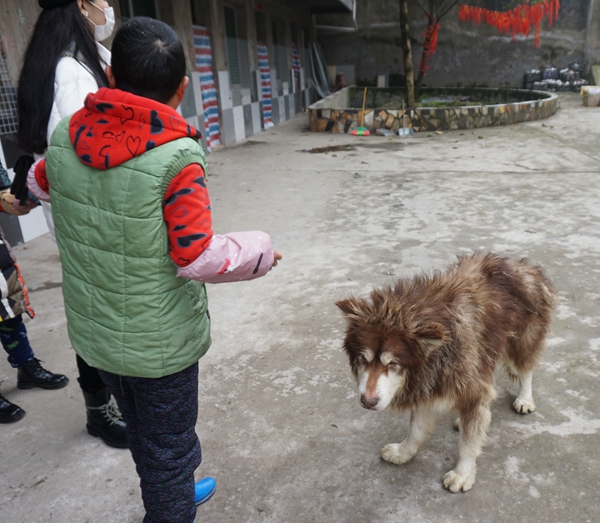 让小动物不再流浪 让这个冬天不再寒冷——重庆爱心动物欢天喜地基地公益行动