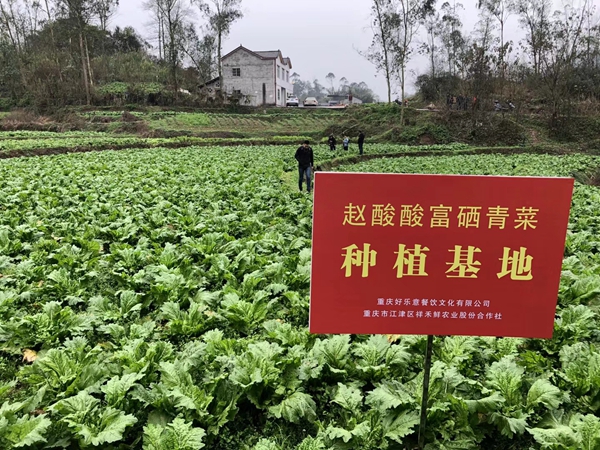 游山城 品渝味特色四鲜米线 一吃您会记住的美味--赵酸酸老坛四鲜米线