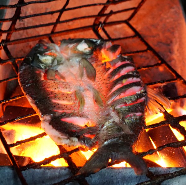 沈姐烤鱼 重庆人的情感美味 也是美食文化的延续
