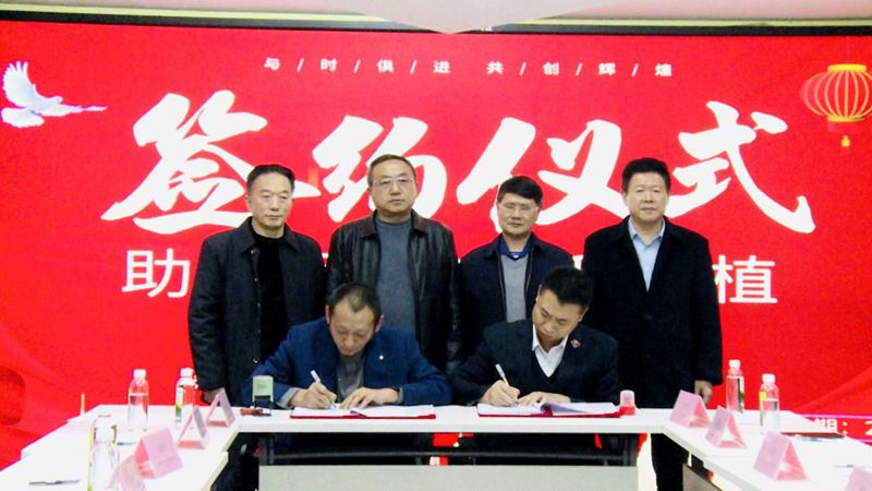重庆智赢实业有限公司与深圳市泥美人农业科技有限公司“助力百万亩旱稻种植”签约仪式在渝圆满举行