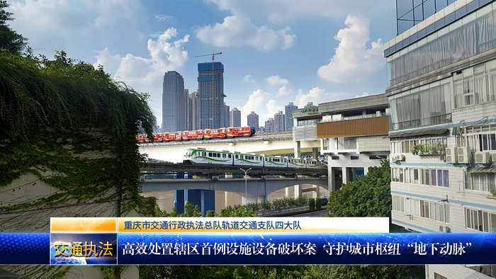 高效处置辖区首例设施设备破坏案  守护城市枢纽“地下动脉”  